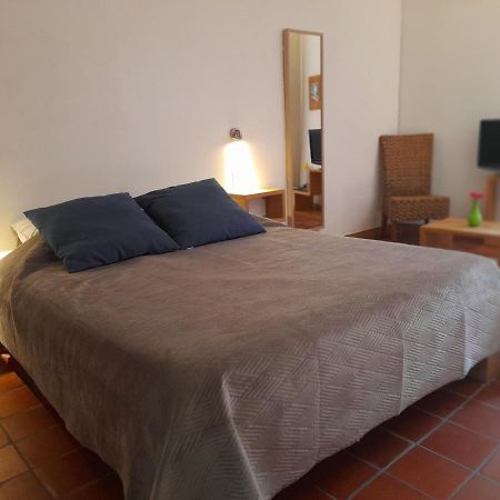 Les Studios De St Guilhem Сен-Гийём-ле-Дезер Экстерьер фото