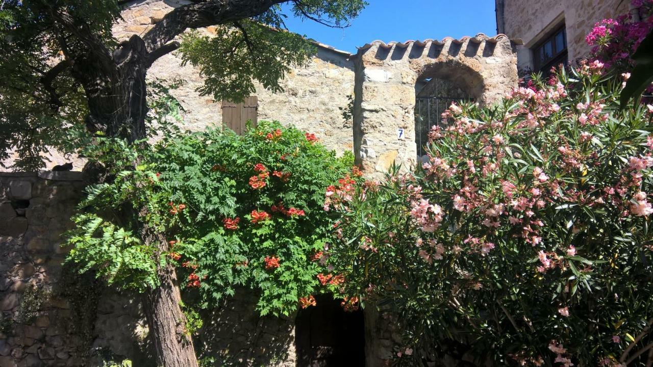 Les Studios De St Guilhem Сен-Гийём-ле-Дезер Экстерьер фото